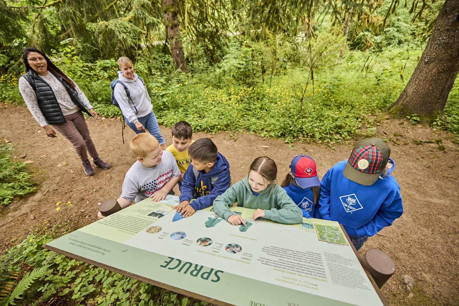Parents and scouts exploring a trail together